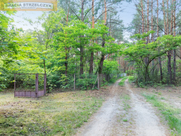 Działka Sprzedaż Nowa Wieś
